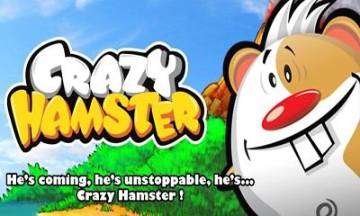 download Crazy Hamster apk